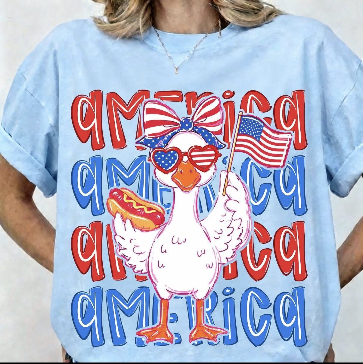 America Duck
