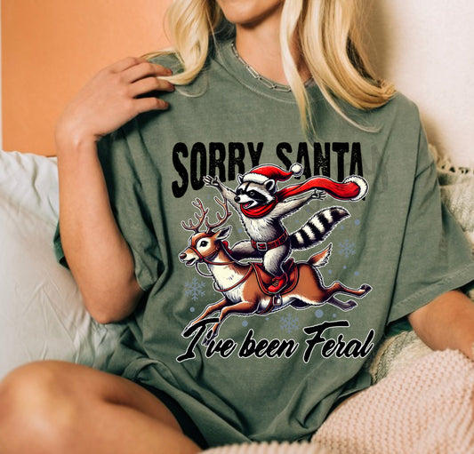 Sorry Santa