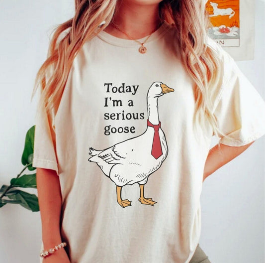 Today I’m a serious goose