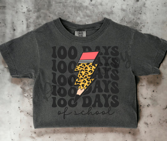 100 Days Cheetah