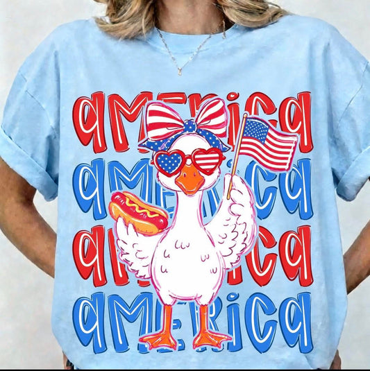 America Duck